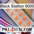 Black Stallion 9000 26